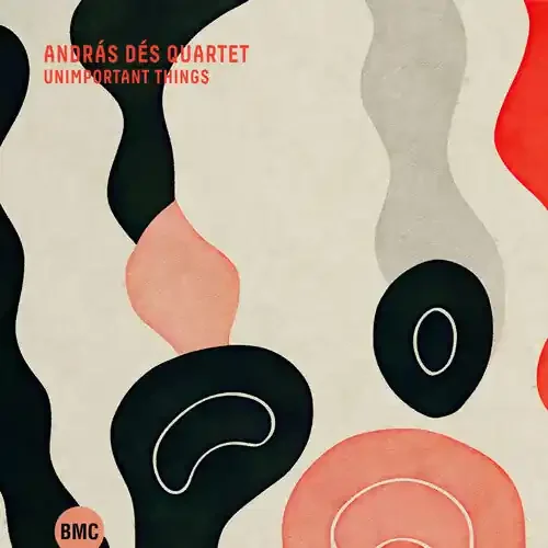 Andras Des Unimportant Things – COMPACT DISCS