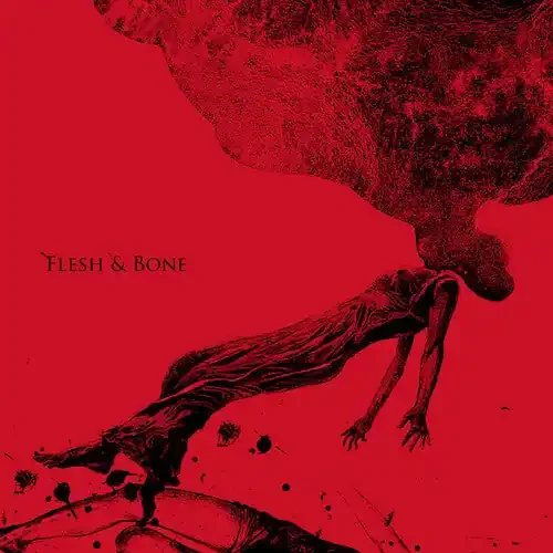 Aneuma Flesh & Bone – COMPACT DISCS