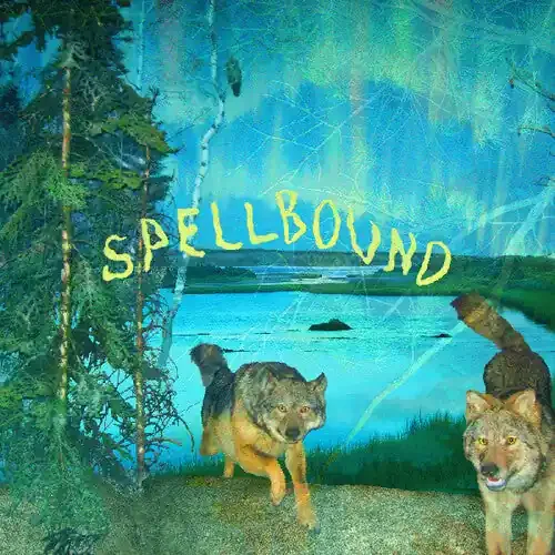 Boyscott Spellbound – CASSETTES
