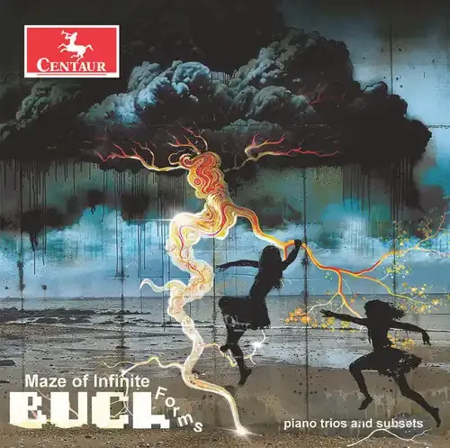 Buch Maze of Infinite Forms – COMPACT DISCS