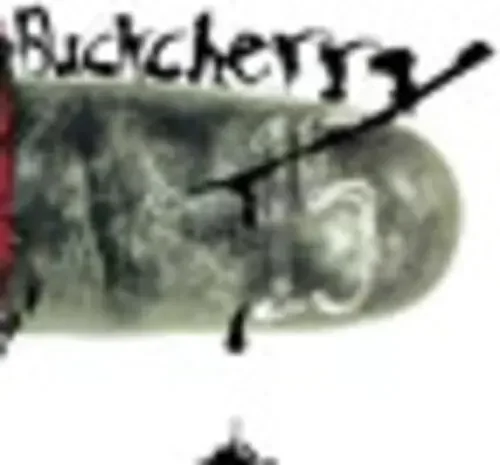 Buckcherry 15 – VINYL LP