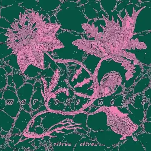 Citron Citron Mareeternelle – VINYL LP
