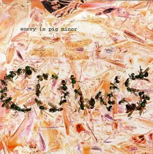 Cows – Sorry in Pig Minor Siren Records