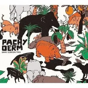 David Gordon – Pachyderm – Import Japan Ver CD