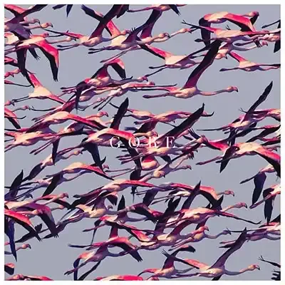 Deftones – Gore – Import LP Record