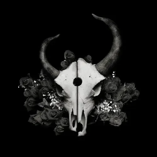 Demon Hunter Summer of Darkness – COMPACT DISCS