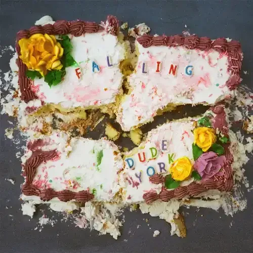 Dude York – Falling [LP] Siren Records