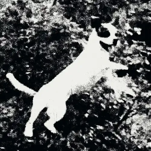 Edmondson Azura – 12-INCH SINGLE