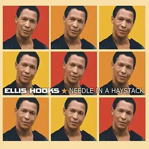Ellis Hooks Needle in a Haystack – COMPACT DISCS