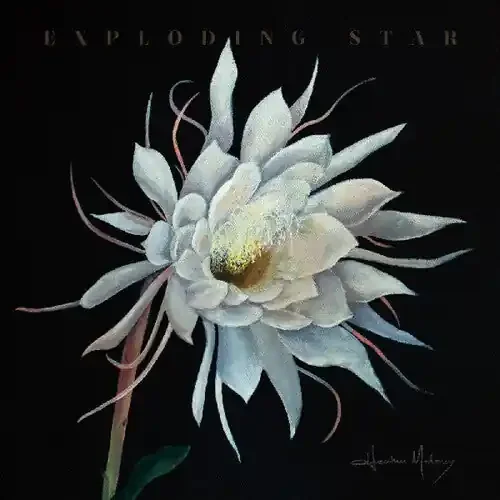 Heather Maloney Exploding Star – COMPACT DISCS
