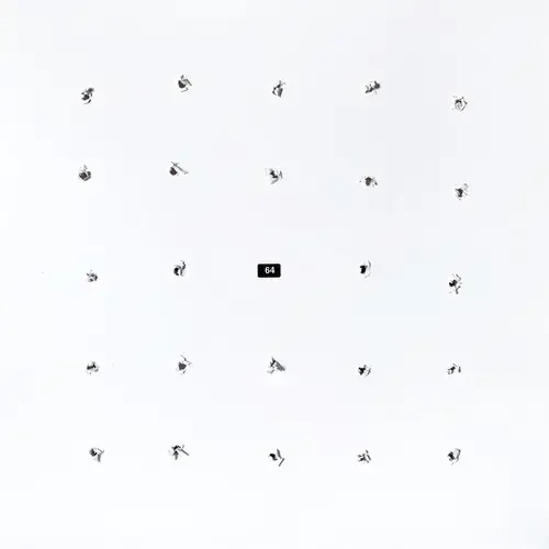 Ian Craig William / Kago – Split Series 24 Siren Records