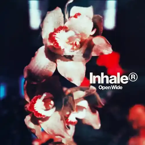 Inhaler – Open Wide [LP] Siren Records