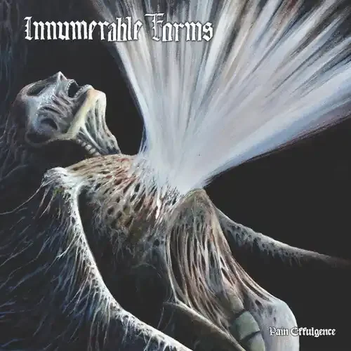 Innumerable Forms Pain Effulgence – VINYL LP