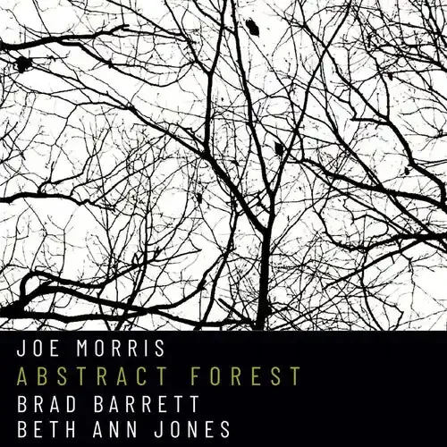 Joe Morris Abstract Forest – COMPACT DISCS