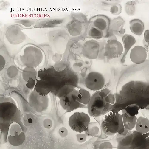 Julia Úlehla & Dálava Understories – COMPACT DISCS