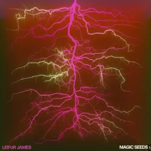 Leifur James Magic Seeds – VINYL LP