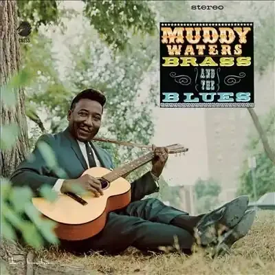 Muddy Waters – Muddy, Brass and the Blues/Can‘t Get No Grindin – Import LP Record