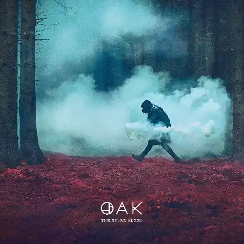 Oak The Third Sleep – VINYL LP