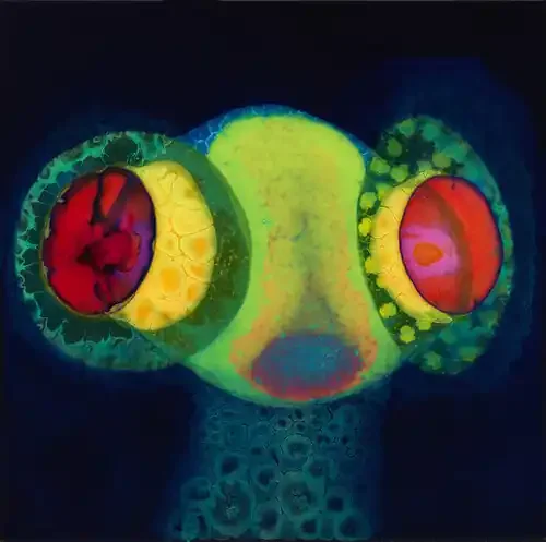 Osees Sorcs 80 – VINYL LP