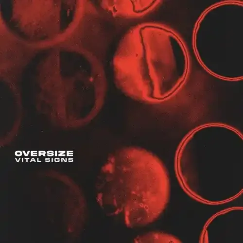 Oversize Vital Signs – COMPACT DISCS
