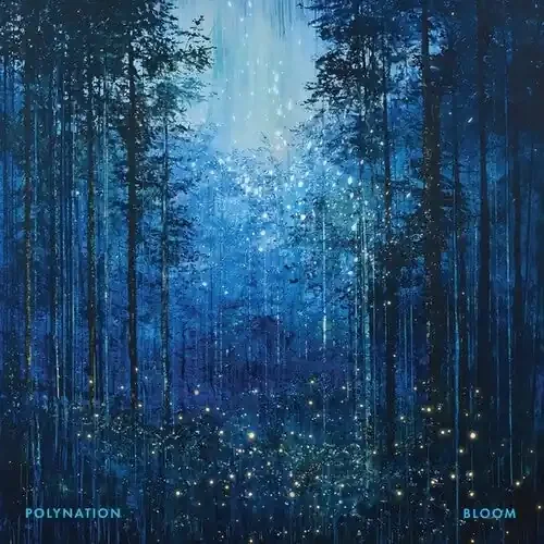Polynation Bloom – 12-INCH SINGLE