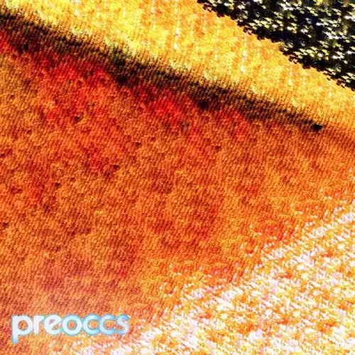 Preoccupations Mur/ponr – 7-INCH SINGLE