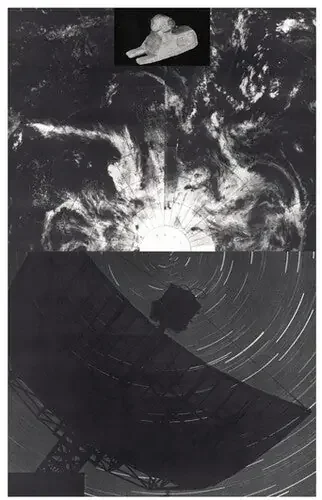 Radio Species Compressed Knowledge – CASSETTES