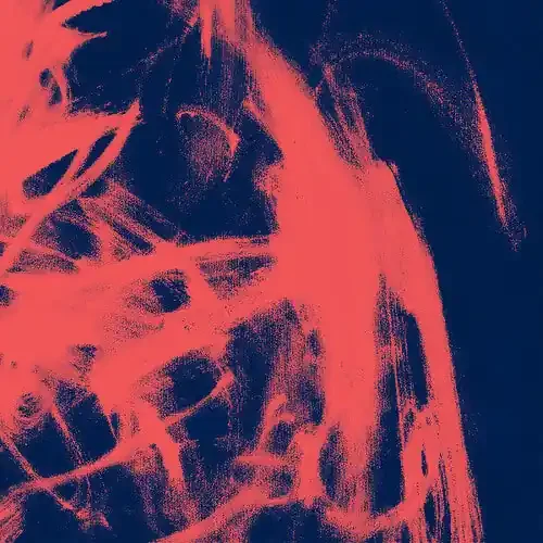 Rival Consoles Landscape From Memory – COMPACT DISCS
