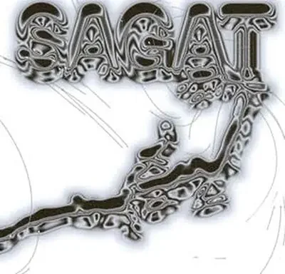 Sagat – Silver Lining – Import LP Record