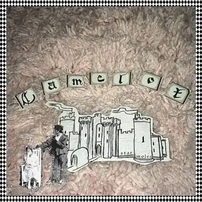 Star Moles – Camelot – Import LP Record