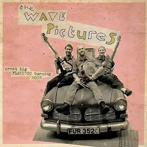 The Wave Pictures – Great Big Flamingo Burning Moon ［LP+CD］ – Import LP Record Limited Edition