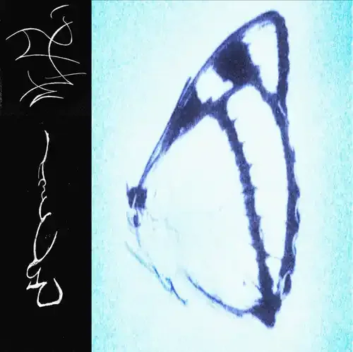 Trha Inagape – COMPACT DISCS