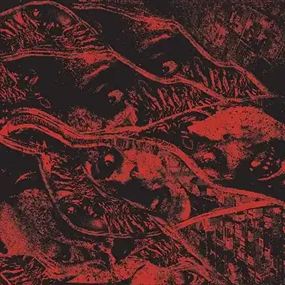 Vermin Womb – Retaliation – Import CD