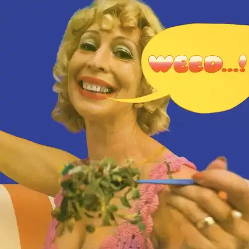 Weed Weed – COMPACT DISCS