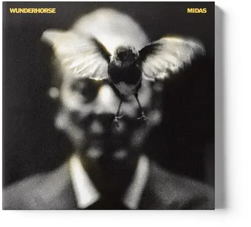Wunderhorse Midas – COMPACT DISCS