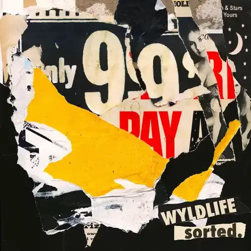 Wyldlife Sorted. – COMPACT DISCS
